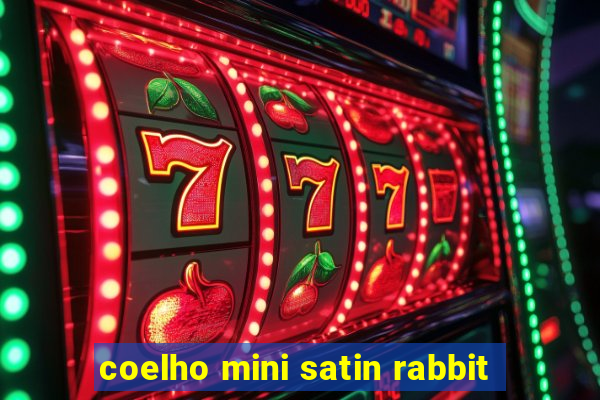 coelho mini satin rabbit